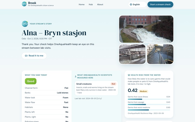 Brook — talk to your stream – screenshot 4