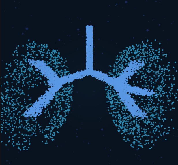 Respira-Map – screenshot 1