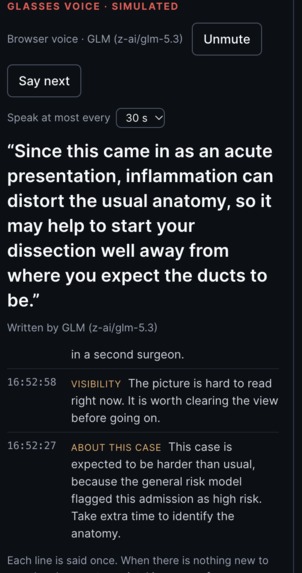 SurgiVision – screenshot 2