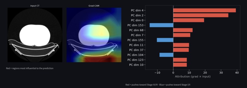 LUAD AI – screenshot 2
