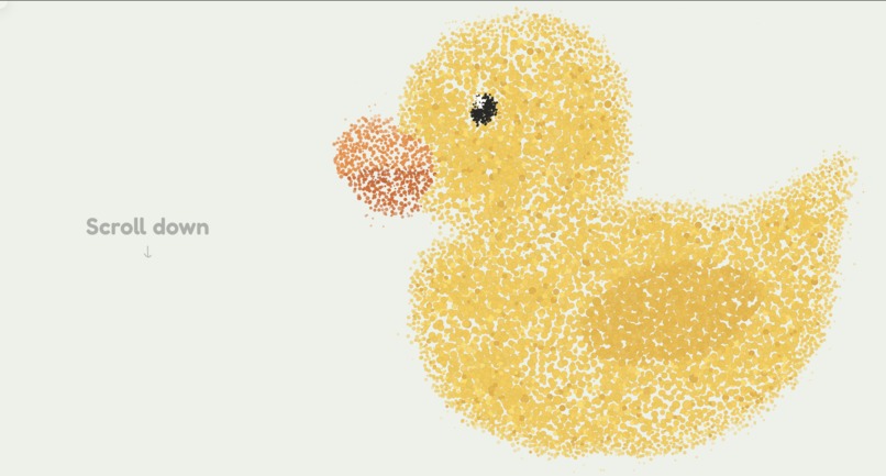Quack – screenshot 1