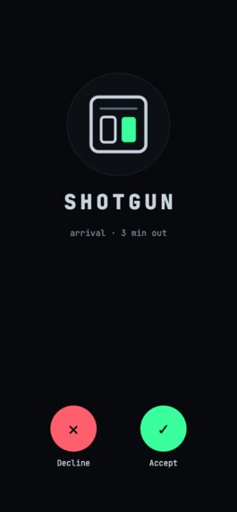 Shotgun – screenshot 1