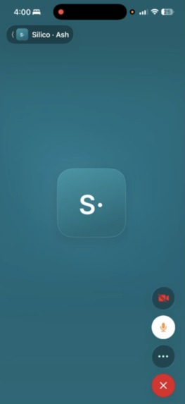 Silico – screenshot 2