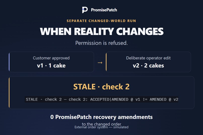 PromisePatch – screenshot 3