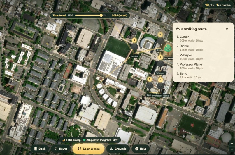 Tree Detective – screenshot 3
