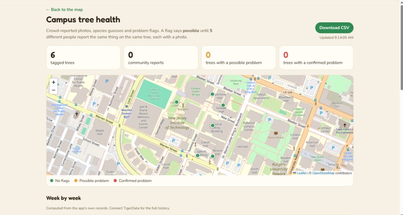 Tree Detective – screenshot 5