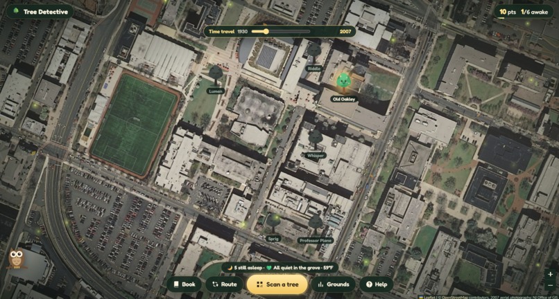 Tree Detective – screenshot 7
