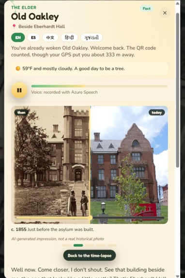 Tree Detective – screenshot 8