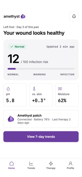 Amethyst – screenshot 2
