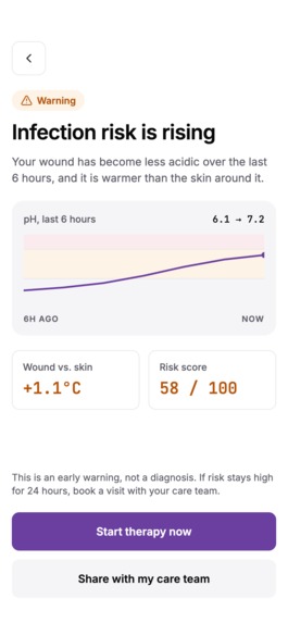 Amethyst – screenshot 3