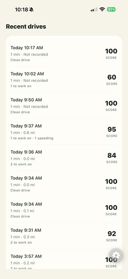 DriveWise – screenshot 4