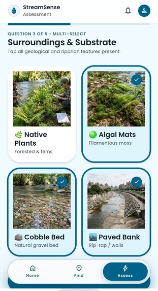 StreamSense – screenshot 4