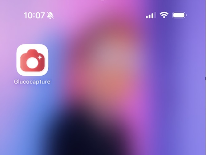 Glucocapture – screenshot 1