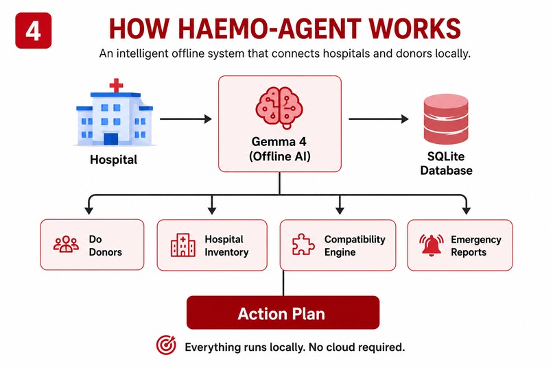 Haemo_Agent_Network – screenshot 2
