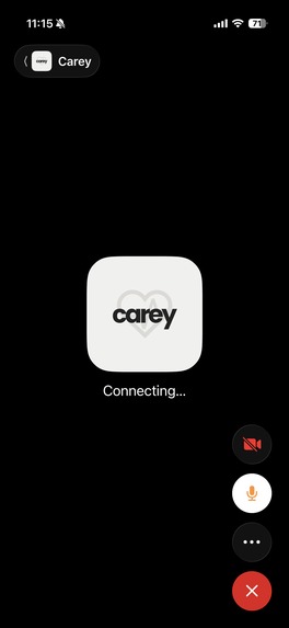 Careloop – screenshot 3
