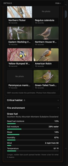 Blaze – screenshot 1
