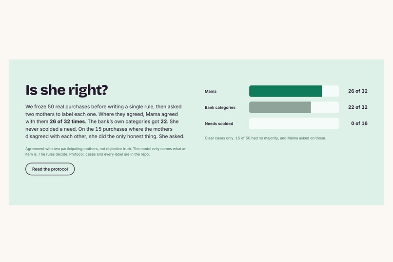Mama Budget – screenshot 5