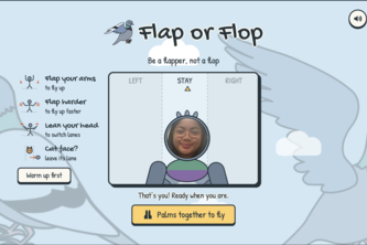Flap or Flop
