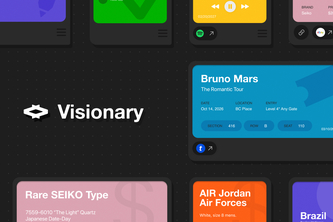 Visionary