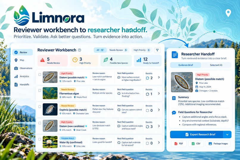 Limnora – screenshot 5