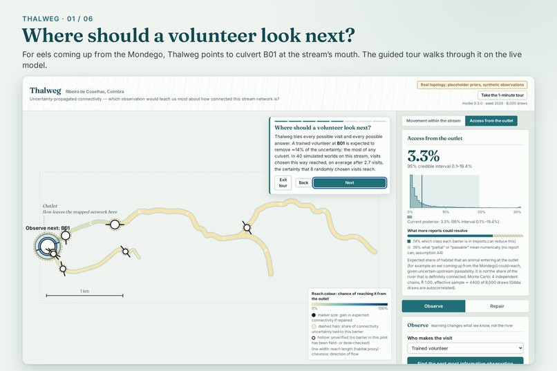 Thalweg: Make Every River Observation Count – screenshot 1