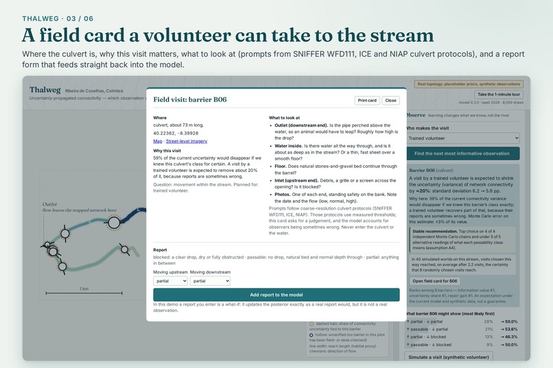 Thalweg: Make Every River Observation Count – screenshot 3