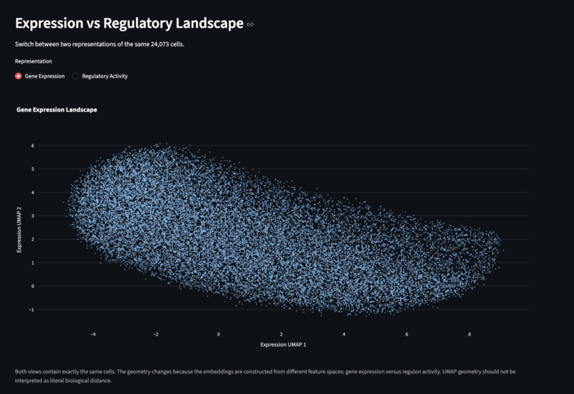 TNBC Regulatory State Explorer – screenshot 5