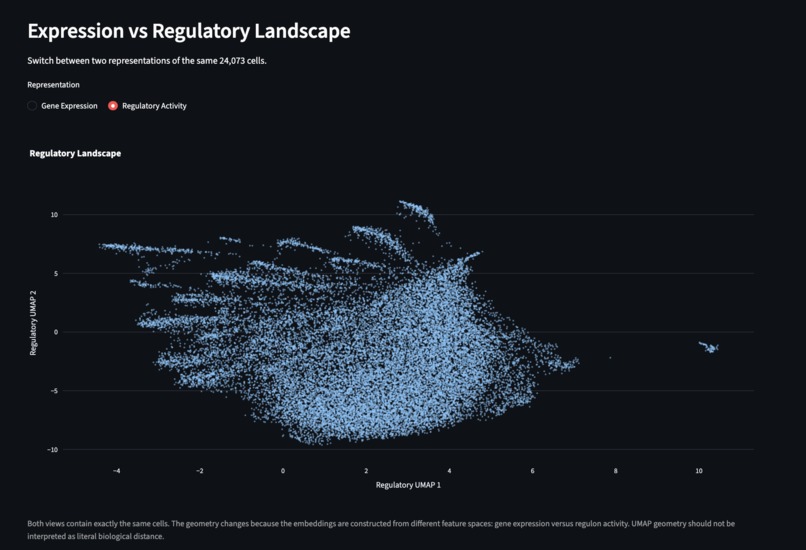 TNBC Regulatory State Explorer – screenshot 6