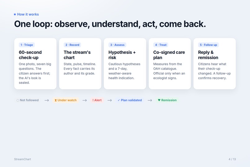 StreamChart – screenshot 4