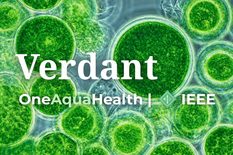 Verdant – screenshot 1