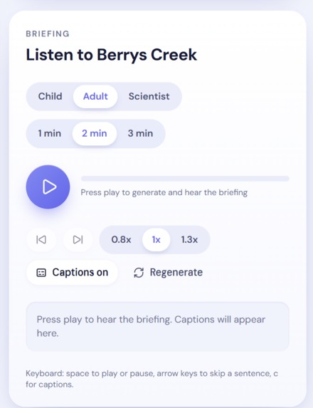 StreamVoice – screenshot 6