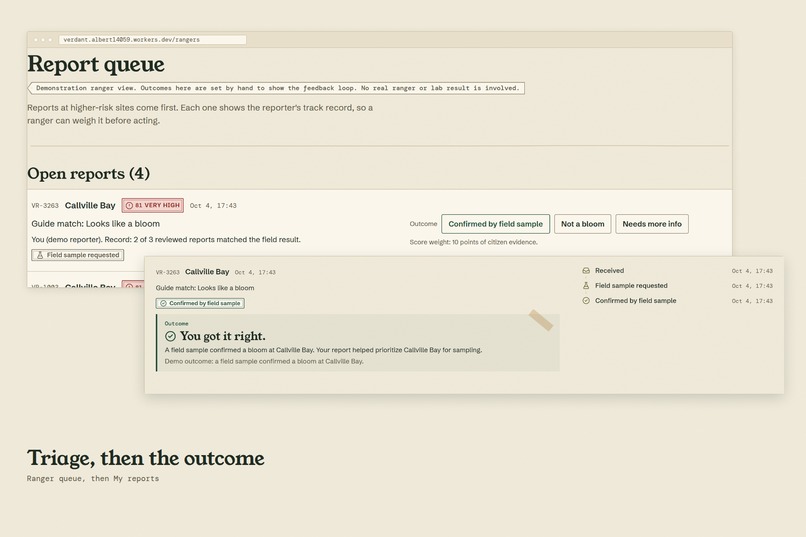 Verdant – screenshot 6