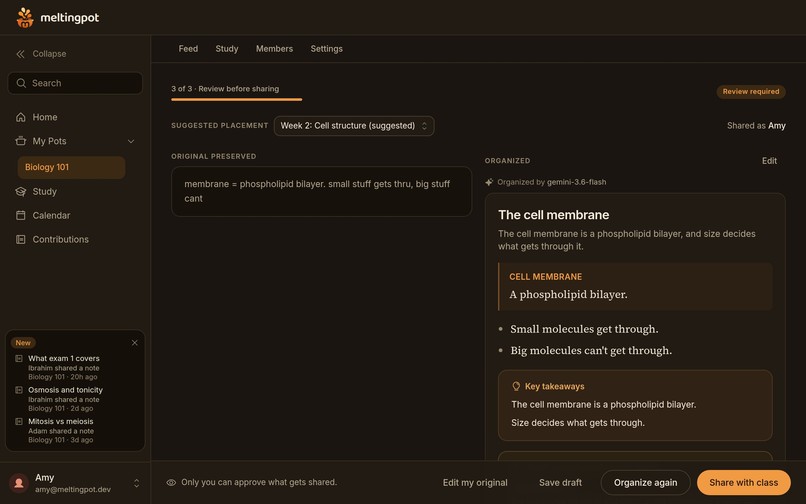 Meltingpot – screenshot 10