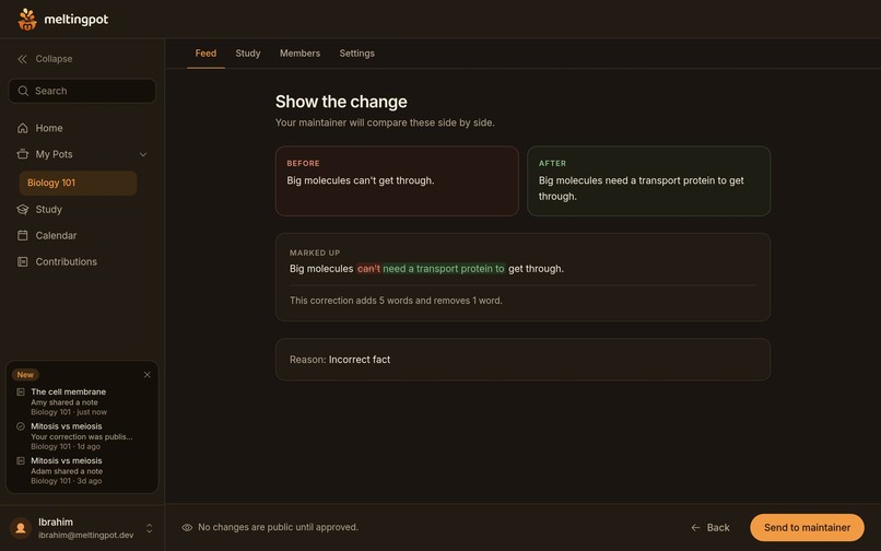 Meltingpot – screenshot 11