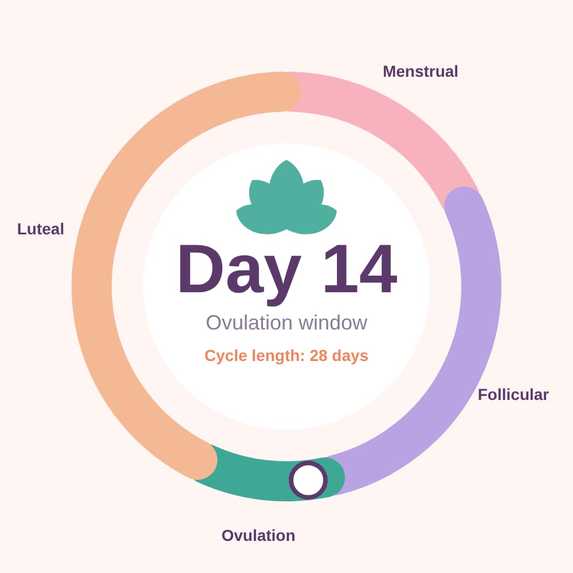 pcos-health-companion – screenshot 2