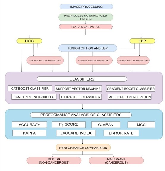 HISTOPATHOLOGICAL IMAGE-BASED LUNG CANCER CLASSIFICATION  – screenshot 1