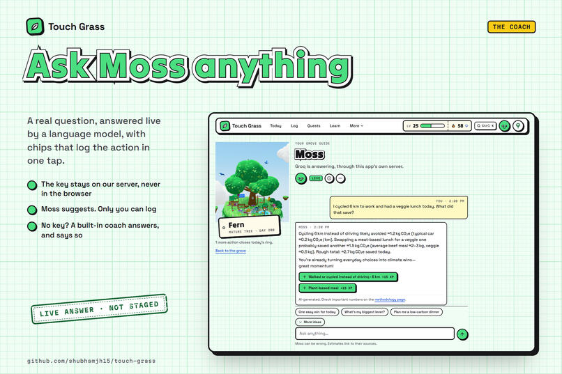 touch grass – screenshot 6
