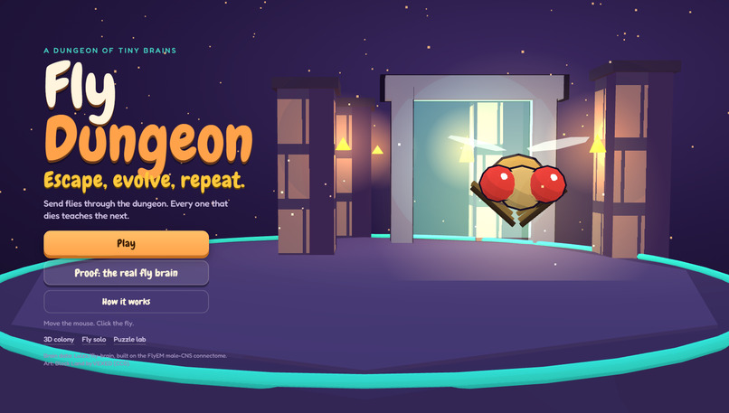 Fly Dungeon – screenshot 1