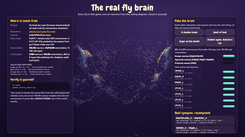 Fly Dungeon – screenshot 4