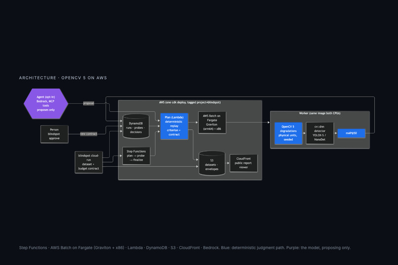Blindspot: Find Where Your Vision Model Breaks – screenshot 6