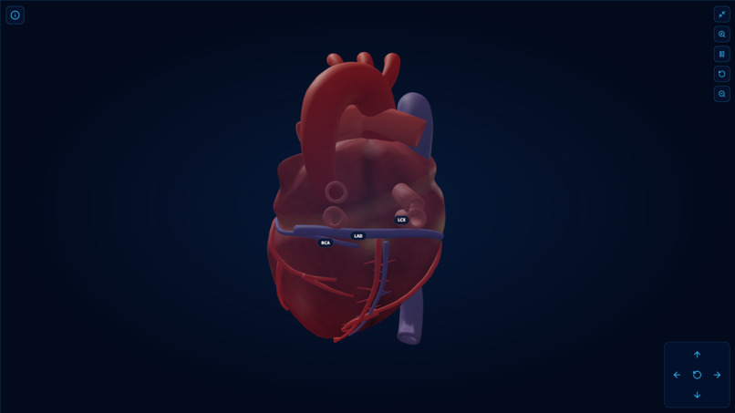 AortaVision 3D – screenshot 7