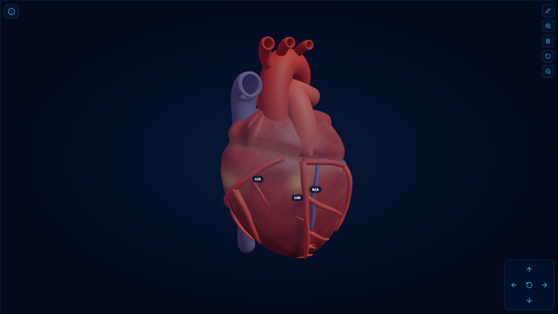 AortaVision 3D – screenshot 5