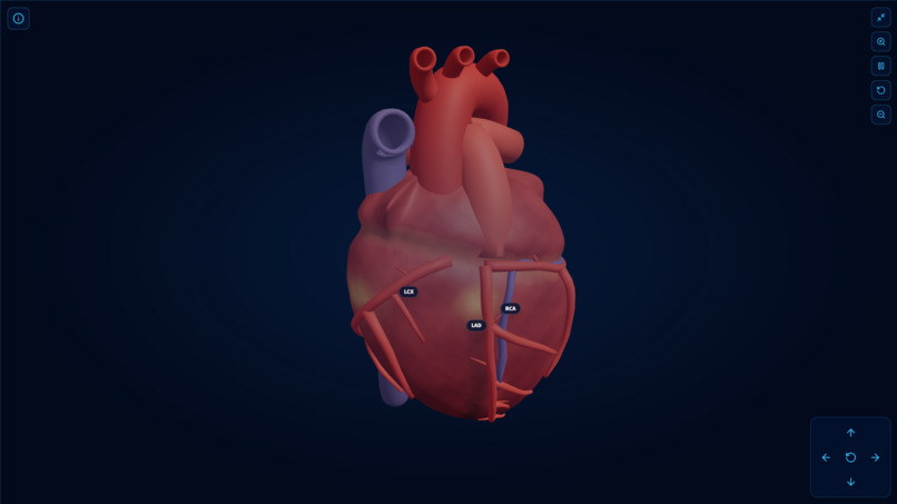 AortaVision 3D – screenshot 6