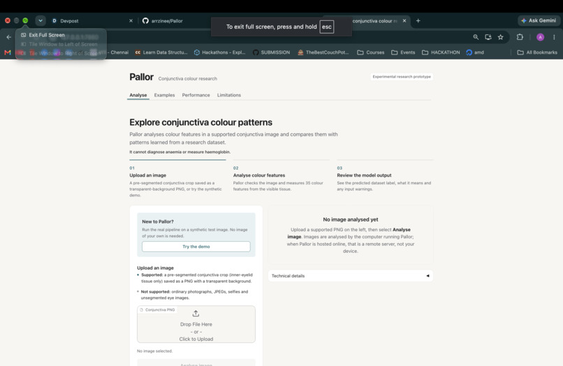Pallor – screenshot 8