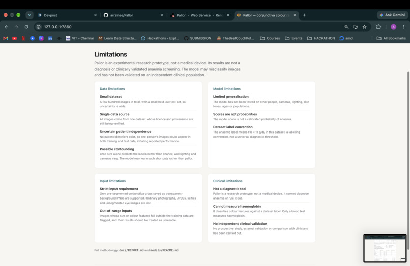 Pallor – screenshot 10