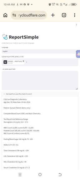 ReportSimple – screenshot 3