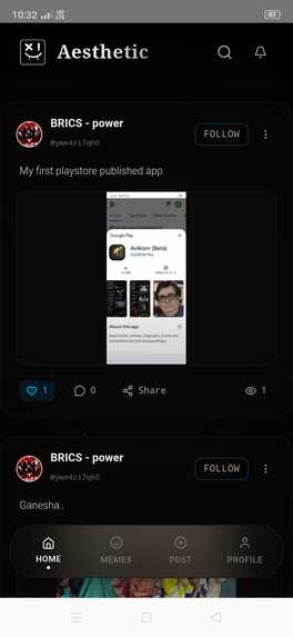 Aesthetic - Indigenous Social Media (India) – screenshot 2