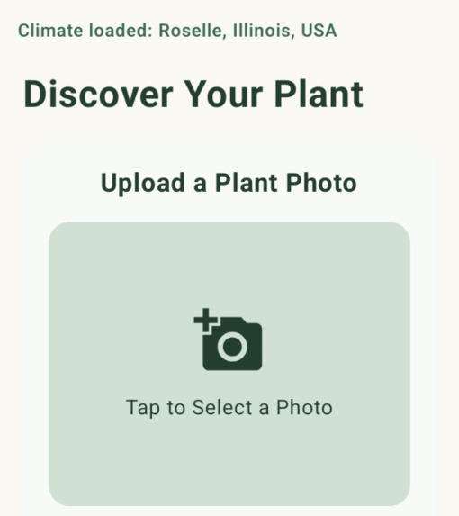Flourish – screenshot 5