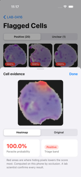 Iba Lens – screenshot 2