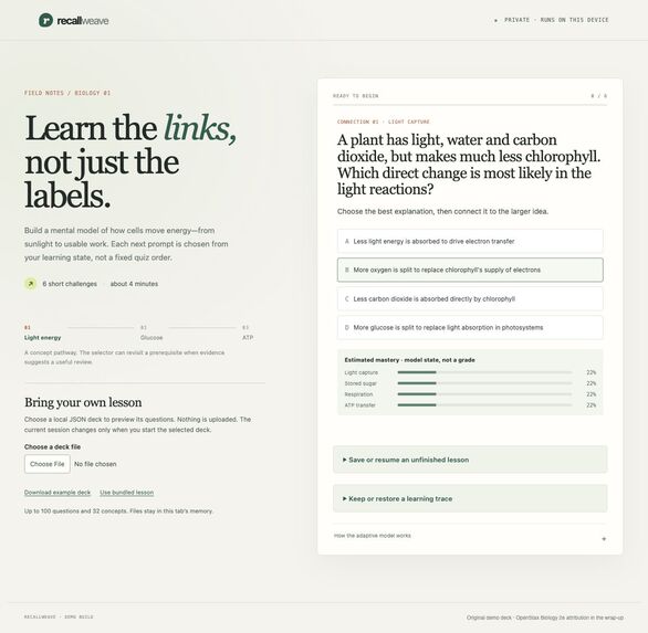 RecallWeave – screenshot 2